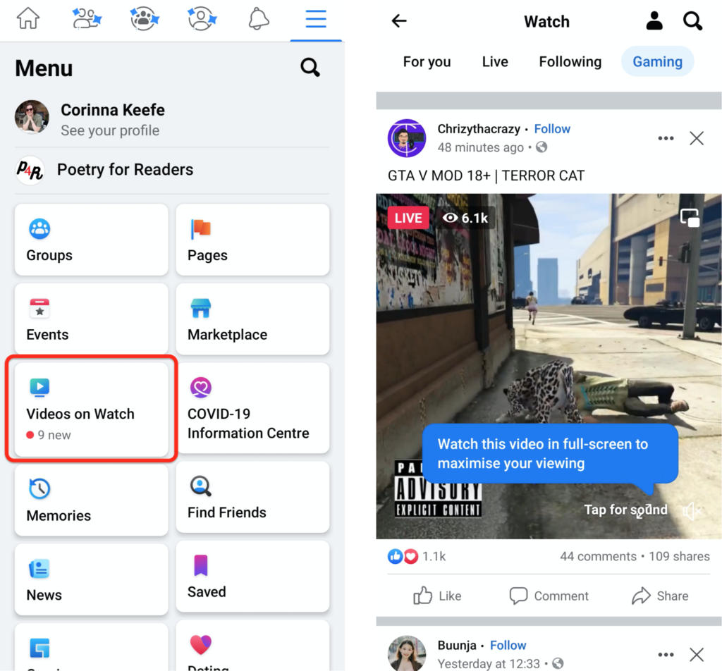 In-Stream Ads Facebook