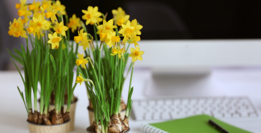 Найкращі агентства контекстної реклами України ТОП-5 превю